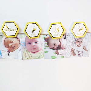 Bumble bee 12 month photo banner, Girl bee First Birthday Photo Banner, Girl Bumble Bee Picture Banner Baby&#39;s first year banner HM552