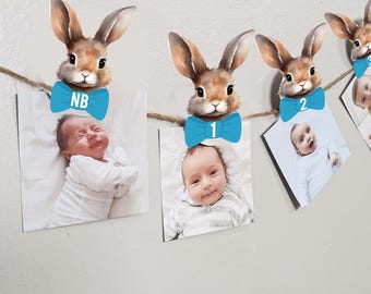Bunny Monthly photo banner, Some Bunny First Birthday Picture banner, Baby's first year photo sign Bunny party decor
