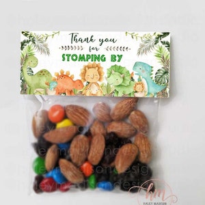 Set of 12 Baby Dino Treat Bag Toppers, Dinosaurs Party Favors Thanks for Stomping By, Dino Birthday Party Favors Treat bags with toppers