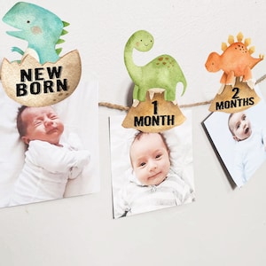 May include: A baby milestone banner with dinosaur illustrations and photos of a baby at different ages. The banner includes the text "New Born", "1 Month", "2 Months", and "3 Months".