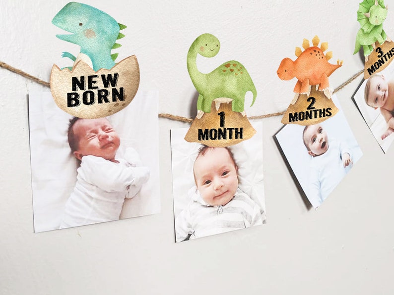 May include: A baby milestone banner with dinosaur illustrations and photos of a baby at different ages. The banner includes the text "New Born", "1 Month", "2 Months", and "3 Months".