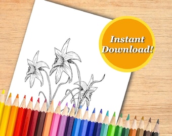 Página para colorear de flores de narciso para niños y adultos Color de la naturaleza imprimible digitalmente