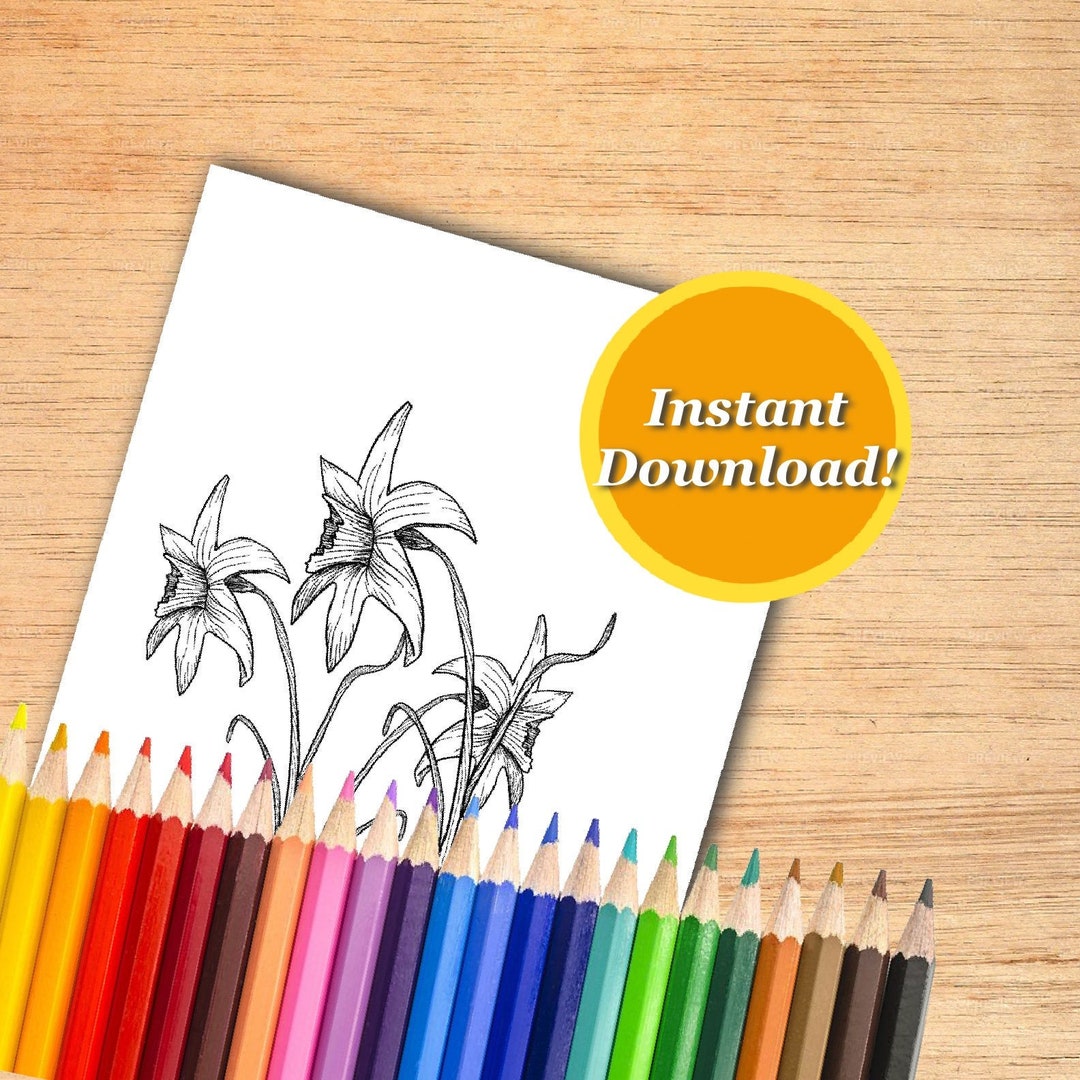 Daffodil Flower Coloring Page for Kids and Adult Digital Printable ...