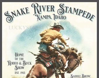 Snake River Stampede, Nampa, Idaho Poster Rodeo Cowboy Vintage Print 18x24