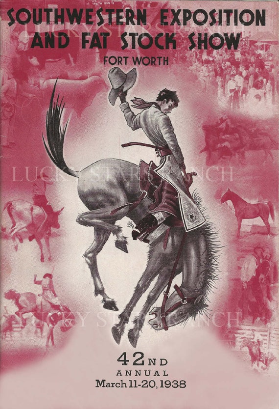 Cowboy Rodeo Poster Print
