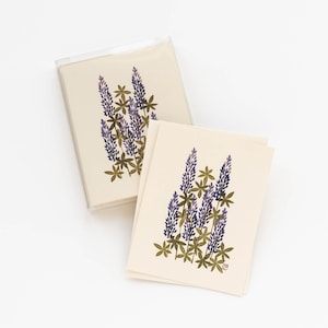 Note Cards Pkg of 6 – LUPINE