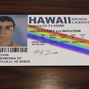 May include: A Hawaii driving licence with a photo of a person wearing glasses. The licence includes the name Mc LOVIN, date of birth, and expiry date. A rainbow gradient design is visible on the right side of the card.