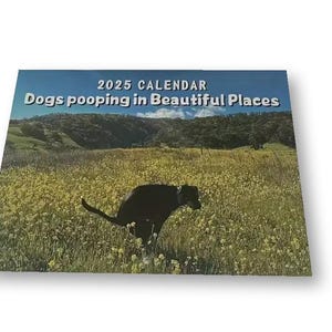 Calendrier 2025 Chiens Qui Font – Photos Drôles, Mural 28,5x21 Cm, Espace Notes
