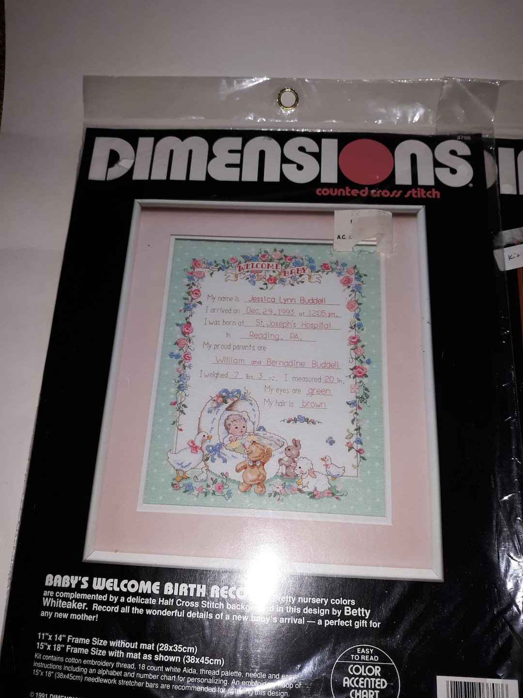 Dimensions Baby's Welcome Birth Record Counted Cross Stitch Kit # 3708 ...