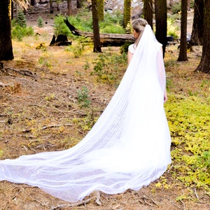 Chapel length veil. Soft, full, smooth edge veil.  Soft English Netting veil.  Ballet tulle veil. Bridal veil. Sophie