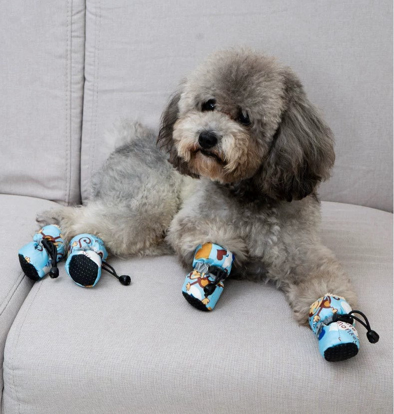  24 Pieces Dog Socks for Small Medium Dogs Non Slip Skid Pet  Puppy Doggie Grip Socks Paw Protectors Indoor Traction Control Socks for  Hardwood Floor Protection, 6 Styles(Medium) : Pet Supplies