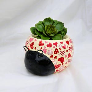 May include: A round, cream-colored planter with a ladybug design, featuring a black base and red heart patterns. The planter holds a green succulent plant. Black wire antennae are attached to the planter.