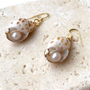 May include: A pair of gold earrings featuring a seashell design with a pearl inside each shell.