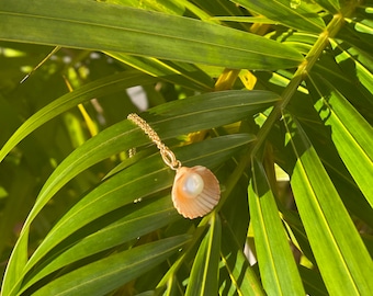 Real sea shell and natural pearl pendant, gold plated silver chain.