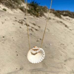 May include: A gold chain necklace with a seashell pendant. The seashell is open and has four white pearls inside.