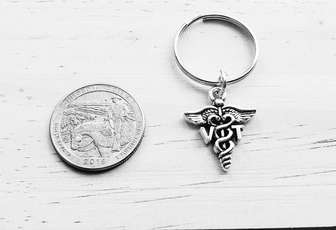 Key Chain Veterinary VT Keychain - VT Key Chain - VT Gift - Veterinary Keychain - Vet Tech ...