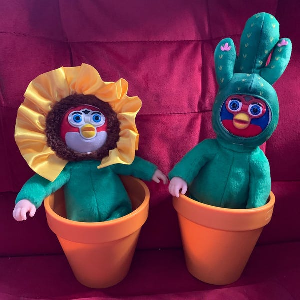Andrew and Beryl, two oddbody plants.