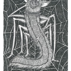 Fourrure d'araignée