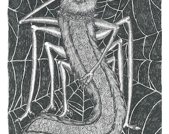 Spider Furb