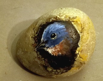 Bluebird Emerges, bird, painting on stone, rock, watercolor, wildlife, bluebird