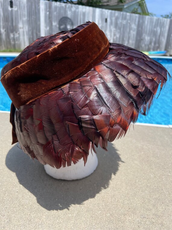 Vintage pheasant, feather hat