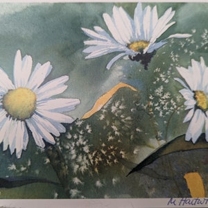 marguerites
