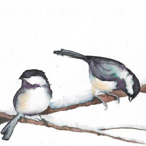 Puede incluir: Pintura a la acuarela de dos pequeños pájaros posados en una rama cubierta de nieve. Los pájaros tienen gorras negras, mejillas blancas y alas grises y negras. La rama es marrón y el fondo es blanco.