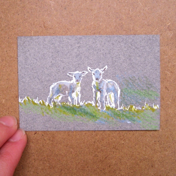 Lambs - Miniature Colored Pencil and ink Drawing