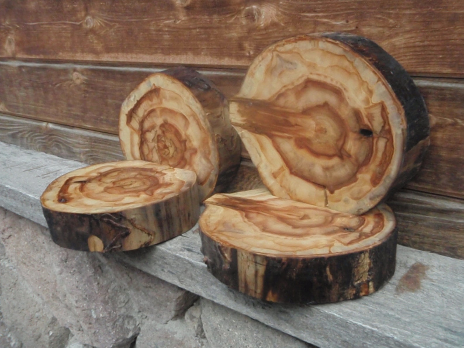 etsy bookends etsy bookends