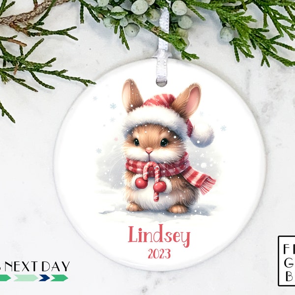 Personalized Bunny Rabbit Ornament, 2024, Christmas Ornament, Custom Kids Ornament, Baby's First Ornament, Bunny Gift, Ceramic