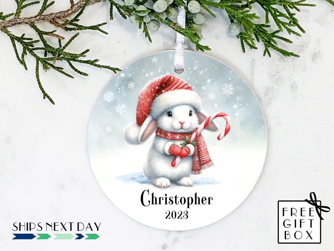 Personalized Bunny Rabbit Ornament, 2024, Christmas Ornament, Custom