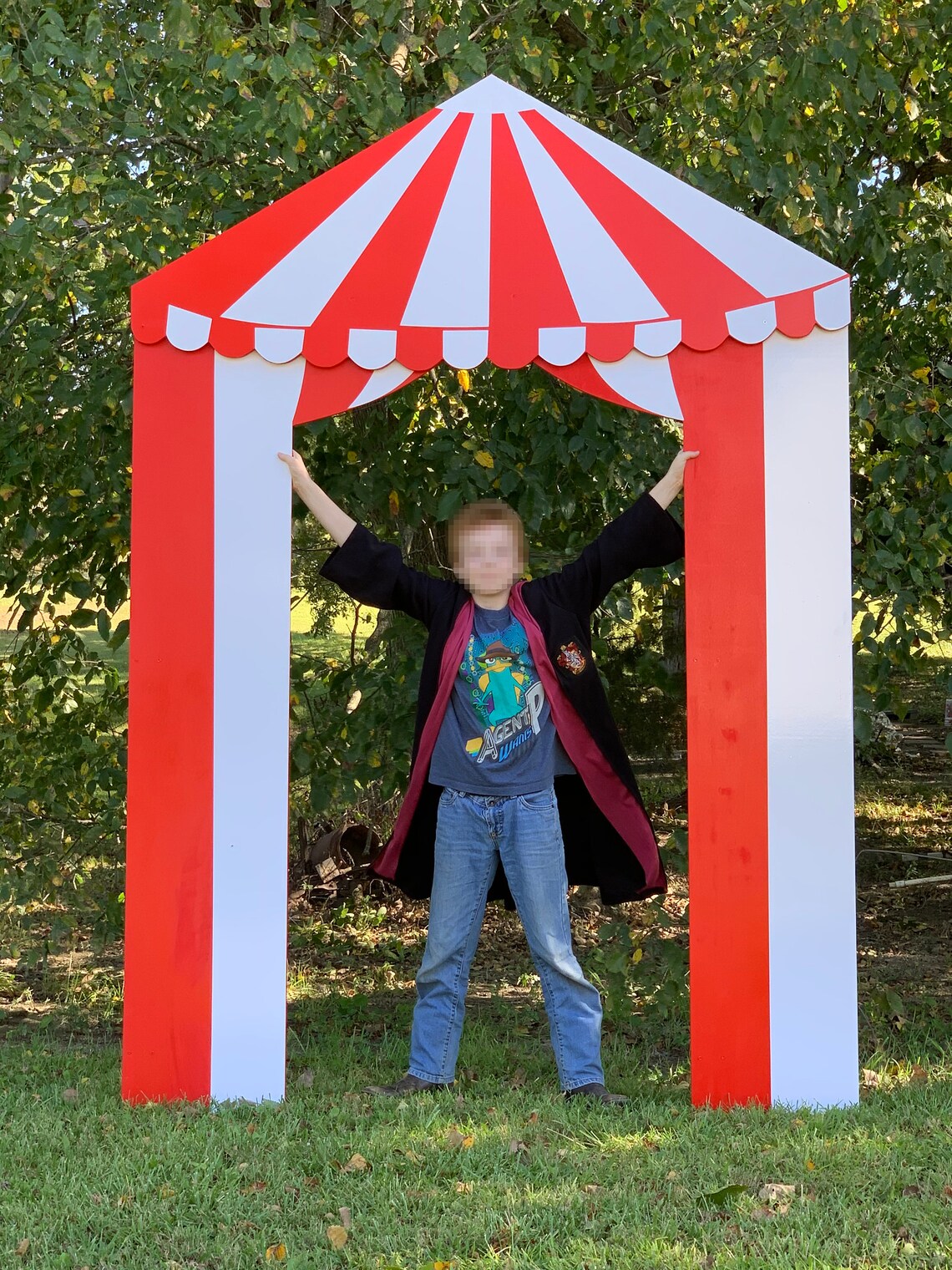 Circus Tent Entry Prop Photo Backdrop. Goes great with Etsy