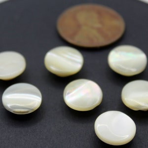 Seven Pearly White Shank Buttons