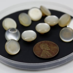 Pearly Off White Shank Buttons