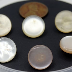 Six Off White Pearly Shank Buttons