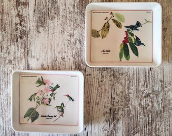 Drawn from Nature by JJ Audubon FRSFLS Colombian Hummingbird Azure Warbler Trays