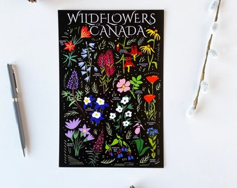 Wildflowers of Canada Postcard - HUGE 6x9 - Floral Botanical Art