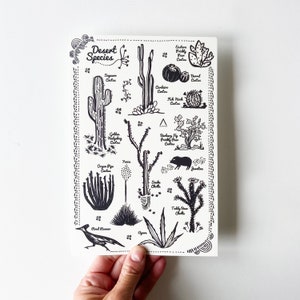 Carte postale ORIGINALE Espèces du désert - ÉNORME 6 x 9 - Art de cactus