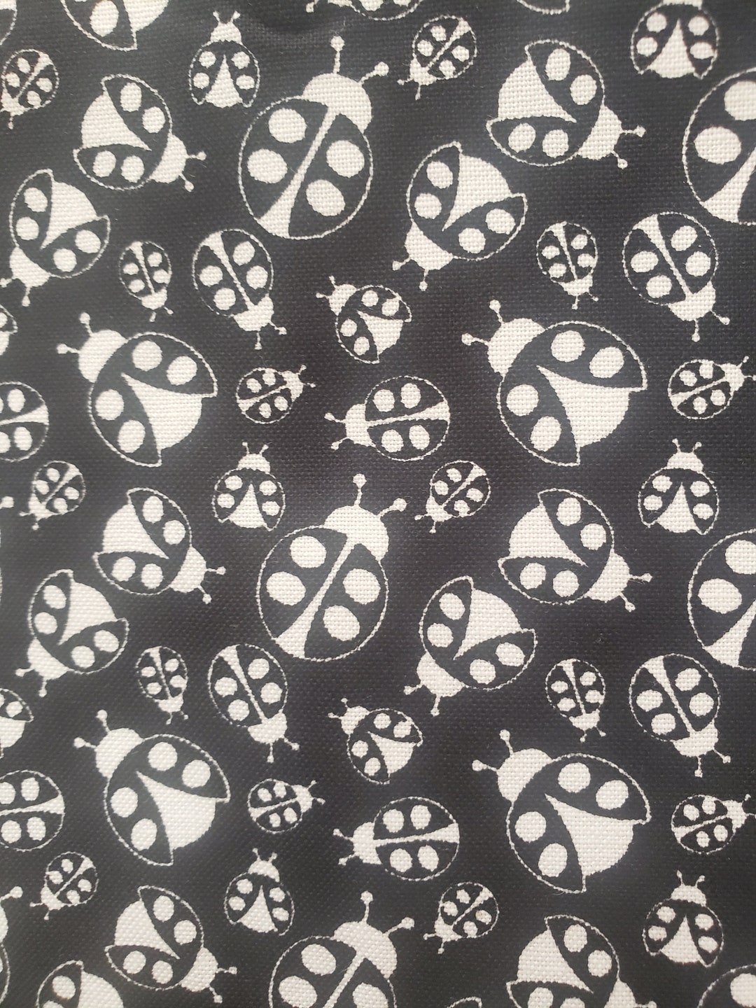 Ladybugs, Essentials for Studio Fabrics, Black and White Ladybugs