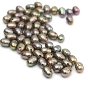 Small Dark Grey Genuine Freshwater Pearls Tiny Rice Pearls 4x6mm 12pcs