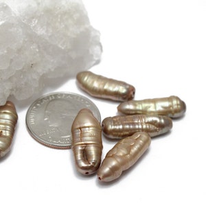 Süsswasser Biwa Perlen Champagner Farbe 8x23mm 5 Stk.