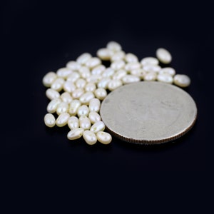 Tiny Creme Color Freshwater Rice Pearls 3x5mm 20pcs