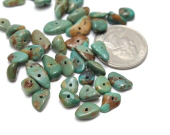 Véritables puces turquoise africaines 5-10mm 6pcs