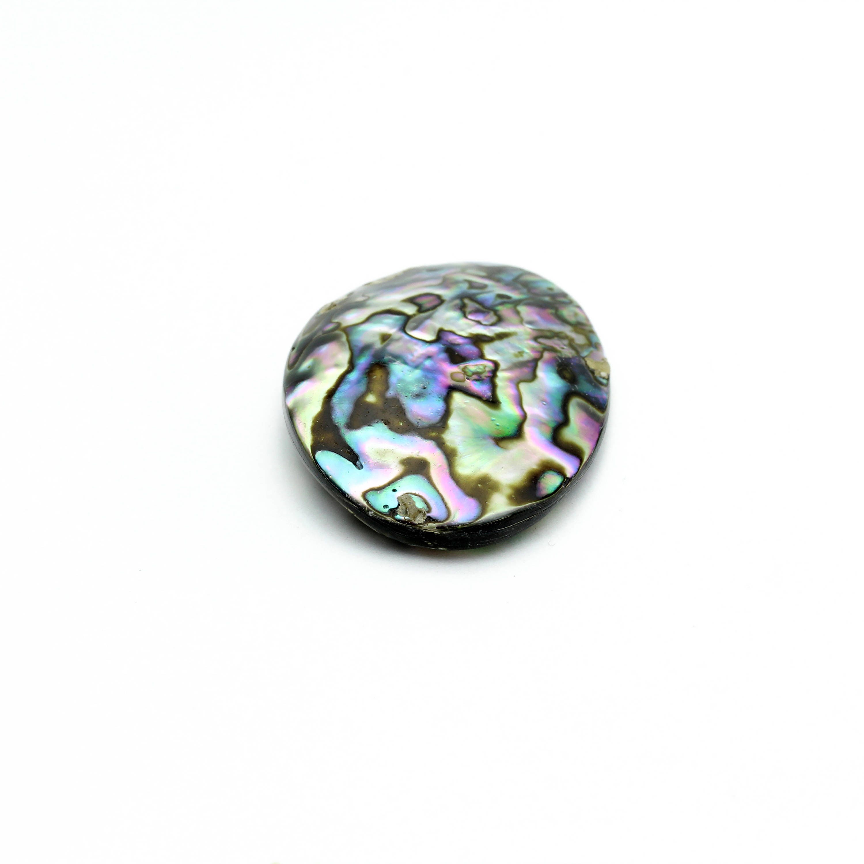 Large Genuine Abalone Shell 35x45mm 1pc - Etsy