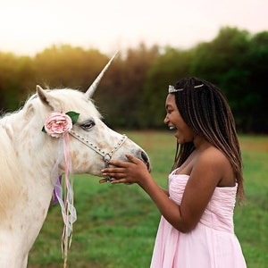 Unicorn Horn for Horse, Unicorn Horn Horse, Unicorn Horn for Horses, 4", 6", 7", 9", 10", 11" You Choose Size Colors Pony