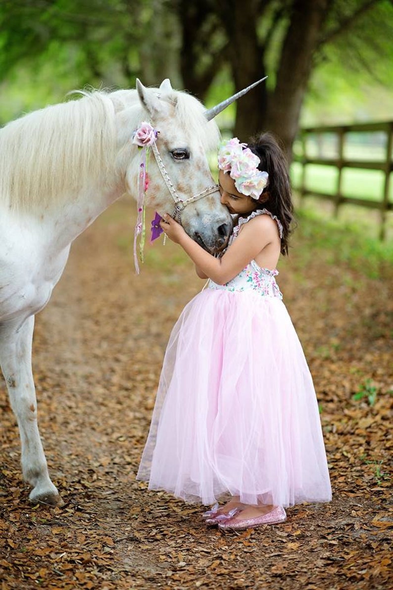 Einhorn Horn für Pferd Einhorn Horn Pferd Einhorn Horn für - Etsy