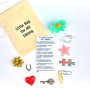 May include: A beige canvas bag with the text "Little Bag for My Sibling" and a small card with a list of items. Includes a green flower, pink star, puzzle piece, and other small trinkets.