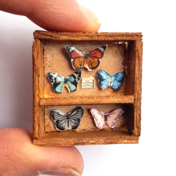 Butterfly Specimen Case, Curio Box, Dollhouse Miniature, Shadowbox, Museum Display, Mini art, Unique Magnet, Nature Identification