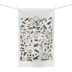 Insecten Keukenhanddoek, Bugs Vaatdoek, Theedoek, Vaatdoek, Natuuridentificatie, Adolphe Millot, Vintage Chart, gastvrouw, housewarming