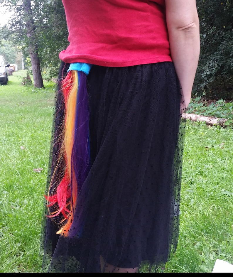 May include: A black tulle skirt with a rainbow colored hair extension attached to the back.